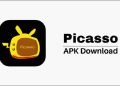Picasso